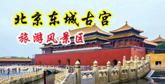 男女羞羞内射视频在线观看中国北京-东城古宫旅游风景区